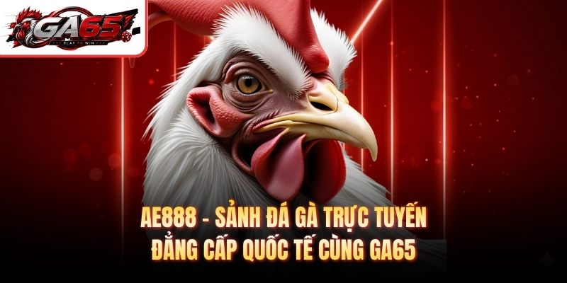 AE888 - Sảnh Đá Gà Trực Tuyến Đẳng Cấp Quốc Tế Cùng GA65