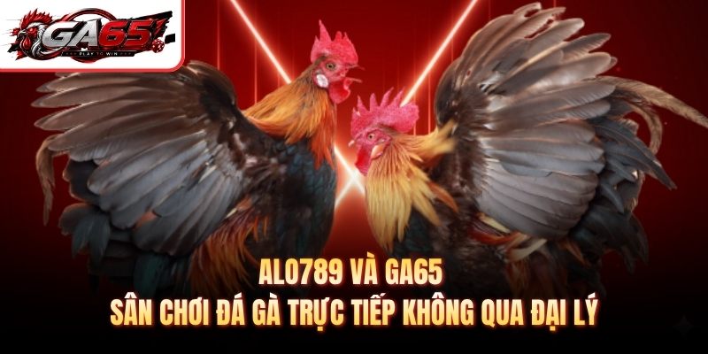 Alo789 Và GA65 - Sân Chơi Đá Gà Trực Tiếp Không Qua Đại Lý