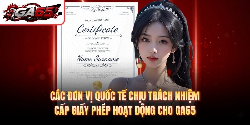 Các đơn vị quốc tế chịu trách nhiệm cấp giấy phép hoạt động cho GA65