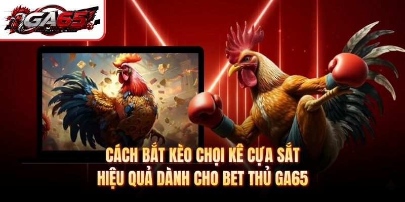 Cách bắt kèo chọi kê cựa sắt hiệu quả dành cho bet thủ GA65