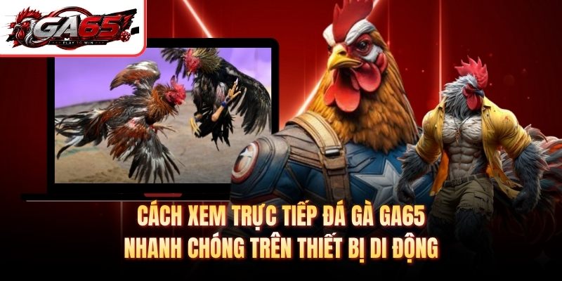 Cách xem trực tiếp đá gà GA65 nhanh chóng trên thiết bị di động