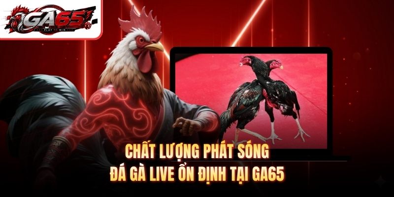 Chất lượng phát sóng đá gà live ổn định tại GA65