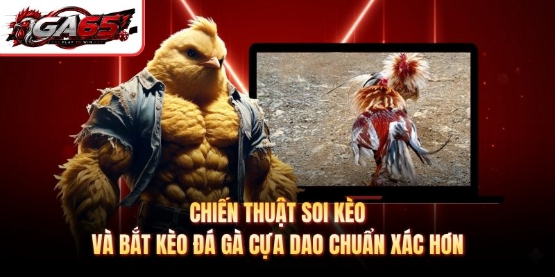 Chiến thuật soi kèo và bắt kèo đá gà cựa dao chuẩn xác hơn