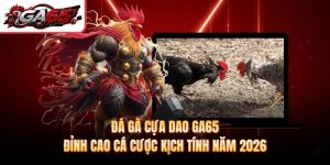 Đá Gà Cựa Dao GA65 - Đỉnh Cao Cá Cược Kịch Tính Năm 2026