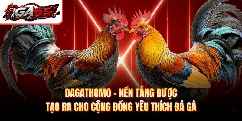 Dagathomo – nền tảng được tạo ra cho cộng đồng yêu thích đá gà