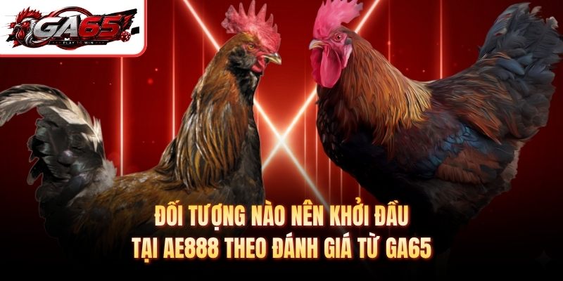 Đối tượng nào nên khởi đầu tại AE888 theo đánh giá từ GA65