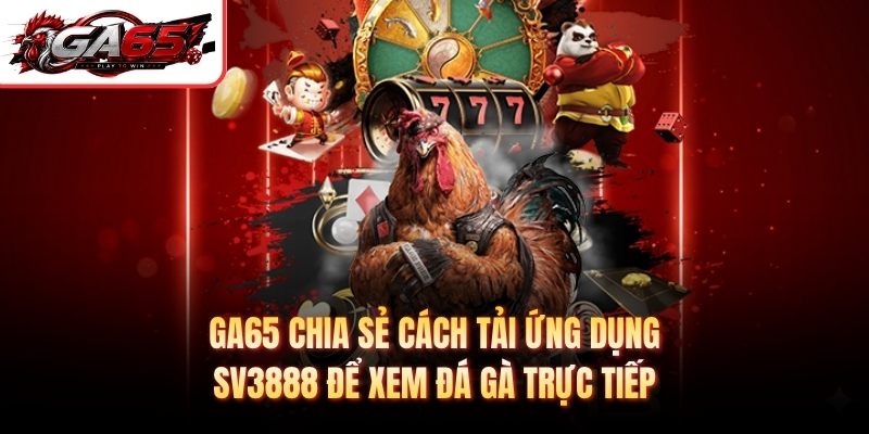GA65 chia sẻ cách tải ứng dụng Sv3888 để xem đá gà trực tiếp