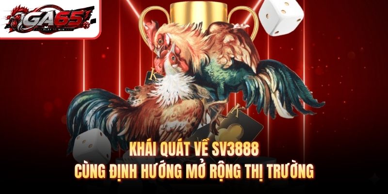 Khái quát về Sv3888 cùng định hướng mở rộng thị trường