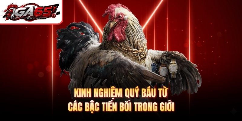 Kinh nghiệm quý báu từ các bậc tiền bối trong giới