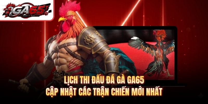 Lịch Thi Đấu Đá Gà GA65 - Cập Nhật Các Trận Chiến Mới Nhất