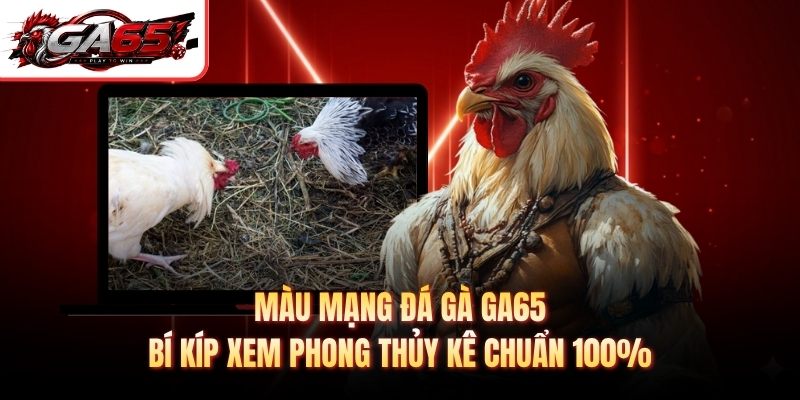 Màu Mạng Đá Gà GA65 - Bí Kíp Xem Phong Thủy Kê Chuẩn 100%