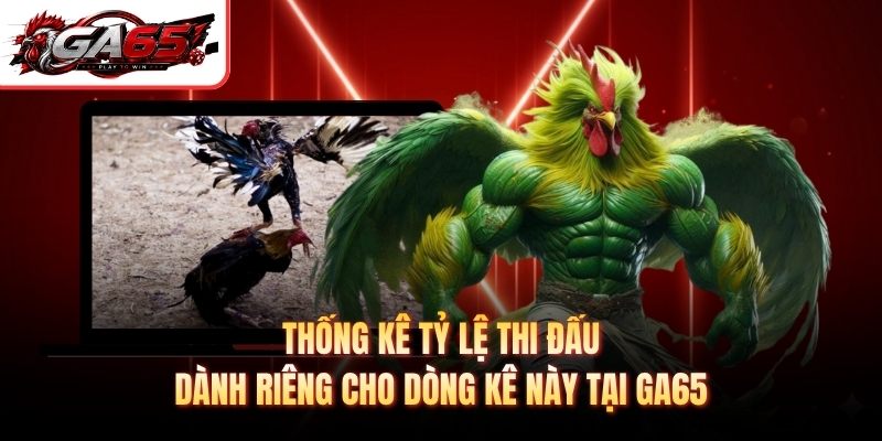 Thống kê tỷ lệ thi đấu dành riêng cho dòng kê này tại GA65