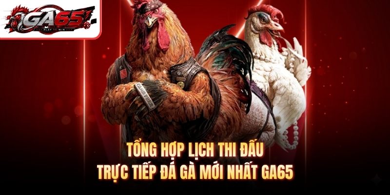 Tổng hợp lịch thi đấu trực tiếp đá gà mới nhất GA65