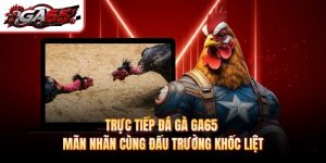 Trực Tiếp Đá Gà GA65 - Mãn Nhãn Cùng Đấu Trường Khốc Liệt