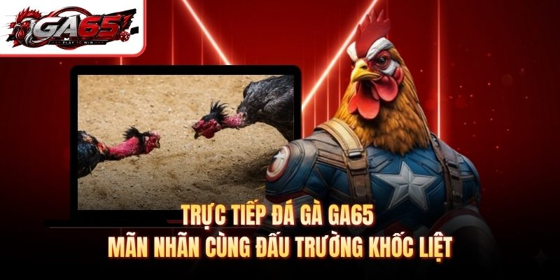 Trực Tiếp Đá Gà GA65 - Mãn Nhãn Cùng Đấu Trường Khốc Liệt