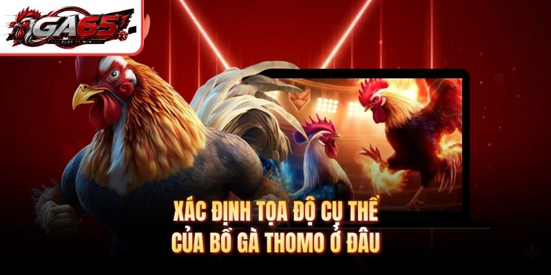 Xác định tọa độ cụ thể của bồ gà Thomo ở đâu